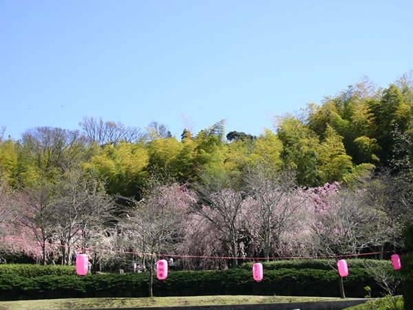 荒井城址公園